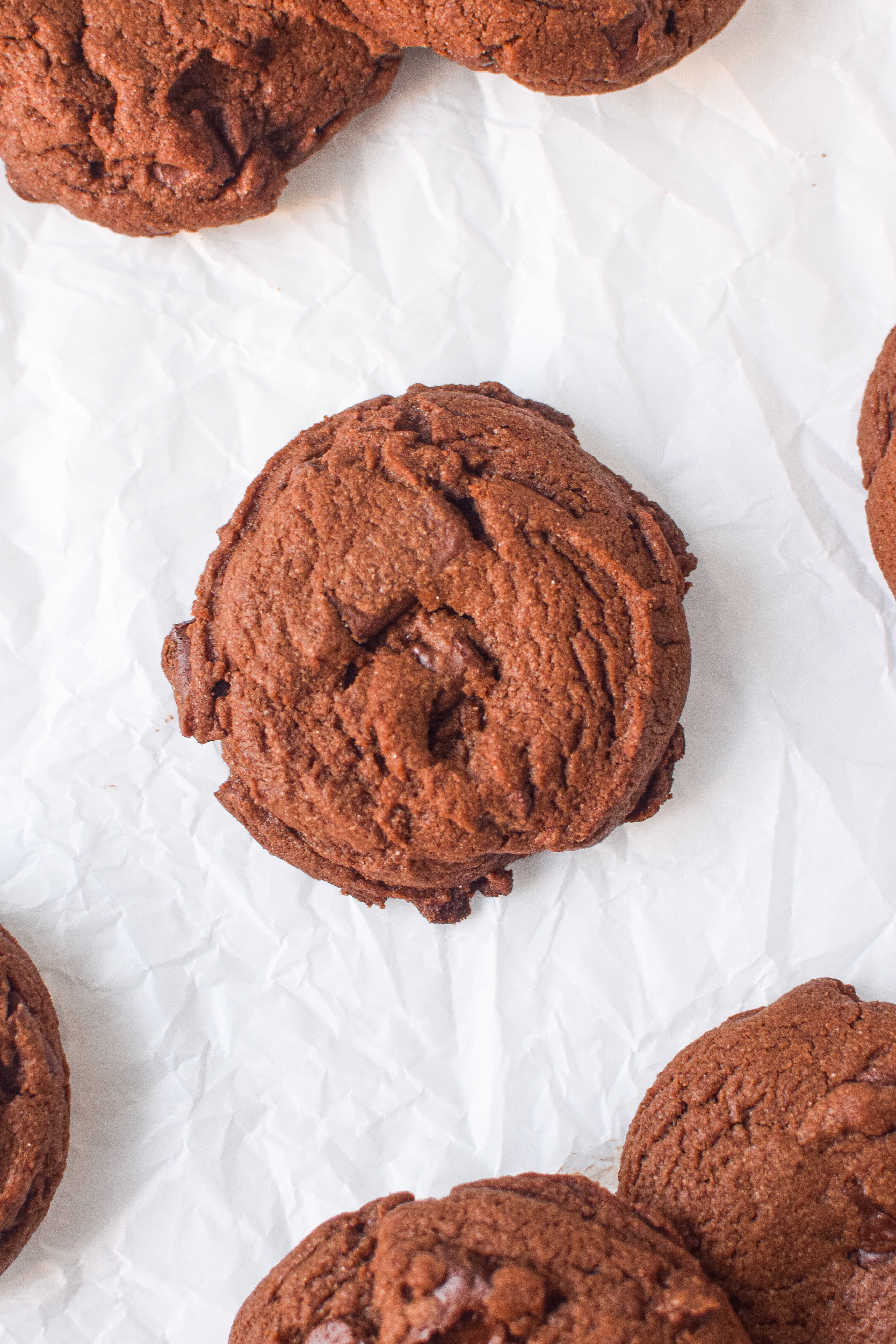 double chocolate cookie
