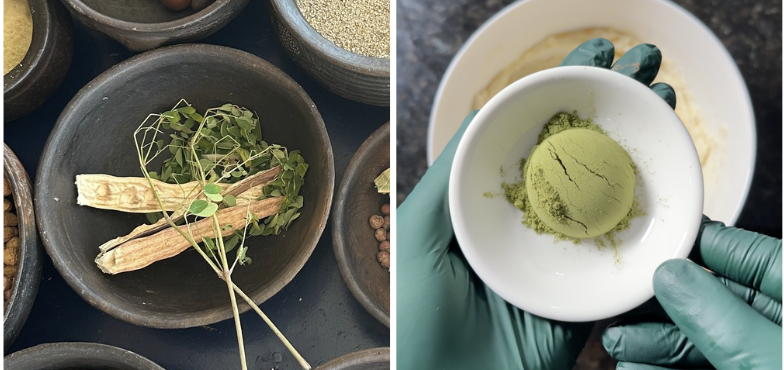 moringa leaves and pods